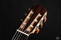 Michael Cadiz - 2024 No. 114 64cm