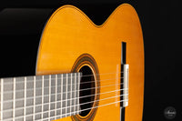 Michel Brück - 2023 Doubletop