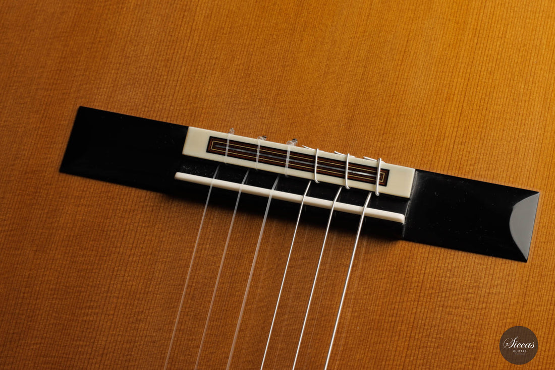 Michel Brück - 2023 Doubletop