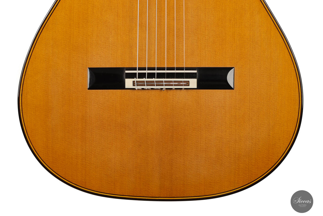 Michel Brück - 2023 Doubletop