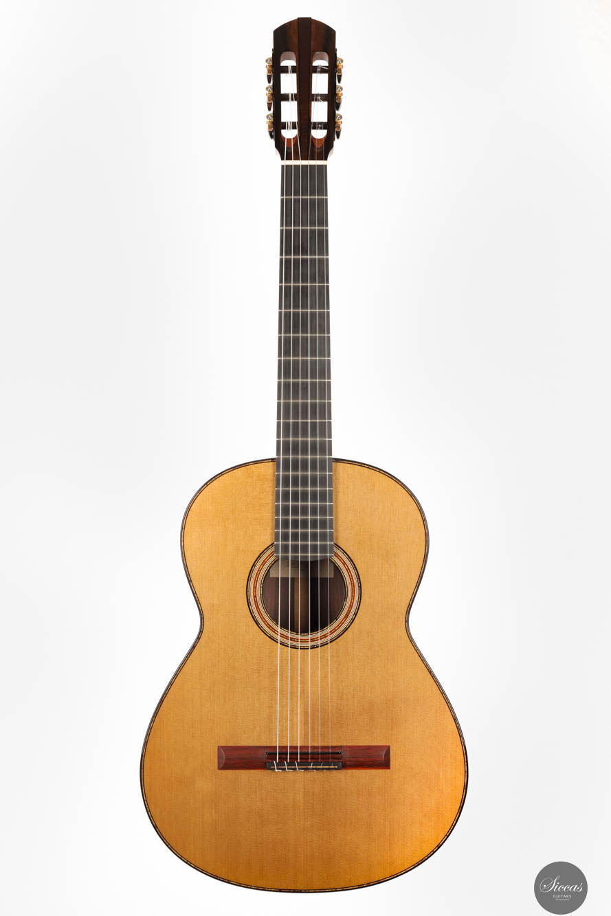 Michele Della Giustina - 2024 Doubletop – Siccas Guitars