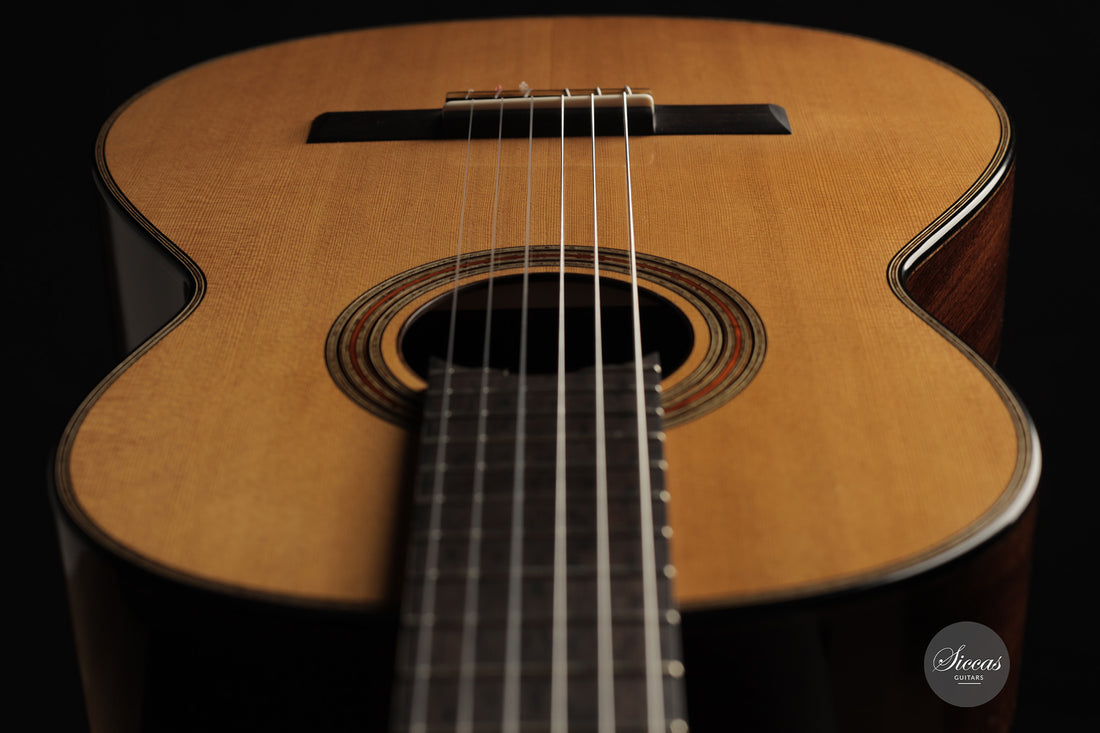 Michele Della Giustina - 2025 No. 438 - Front view