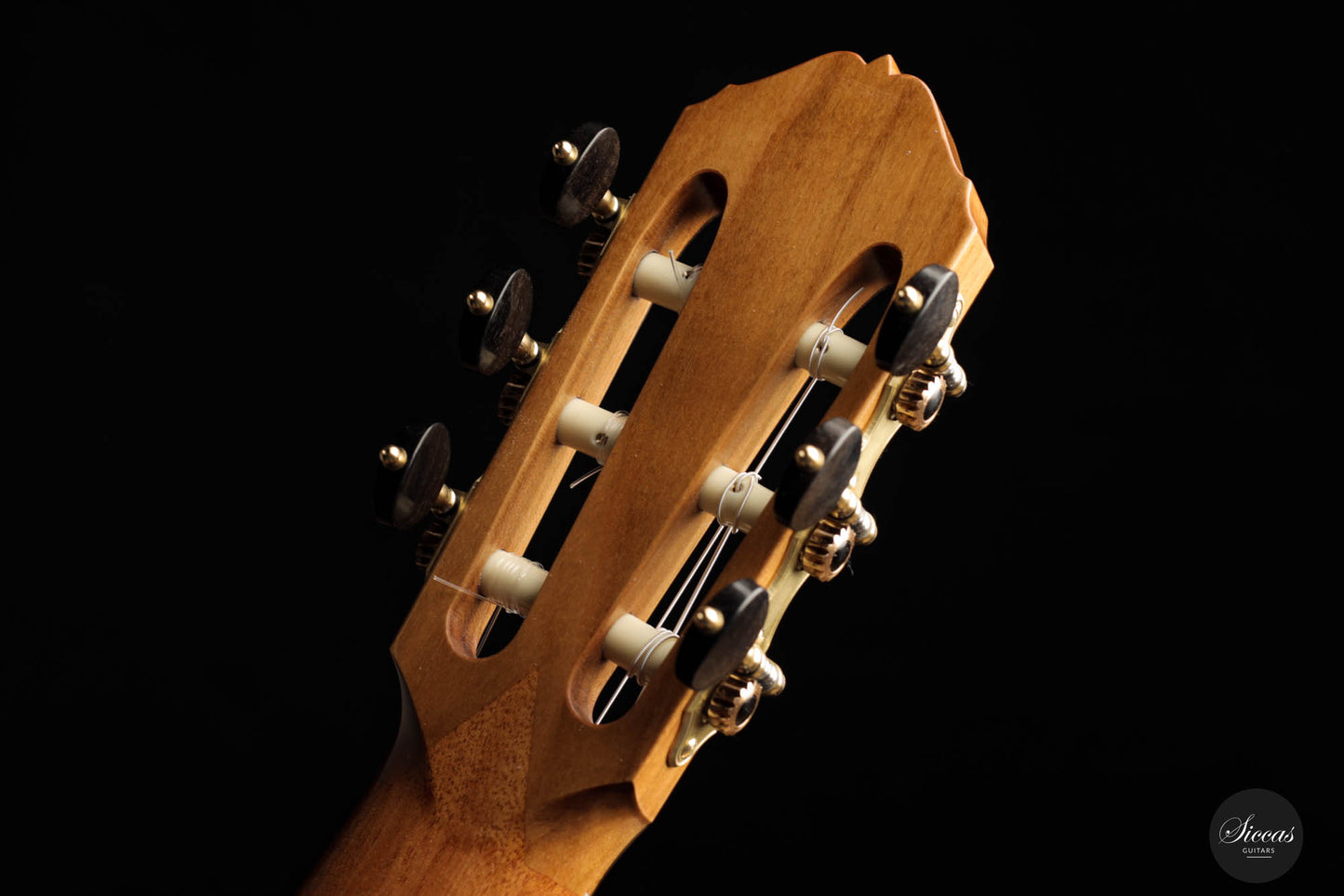 Mirko Migliorini – 2023 No. 379