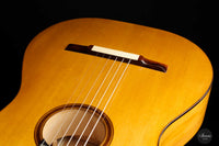 Paolo Coriani - 2010 "La Leona" No. 180