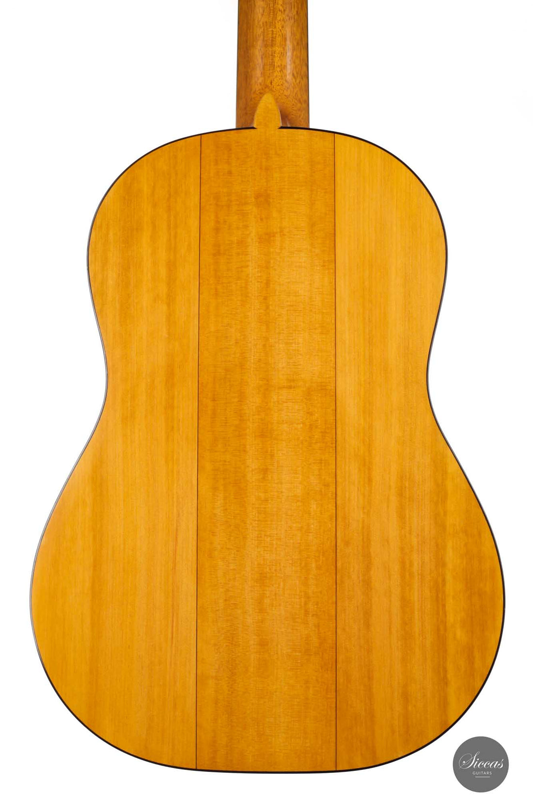 Paolo Coriani - 2010 "La Leona" No. 180
