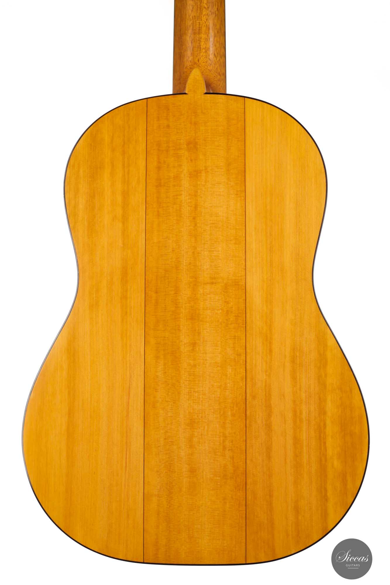 Paolo Coriani - 2010 "La Leona" No. 180