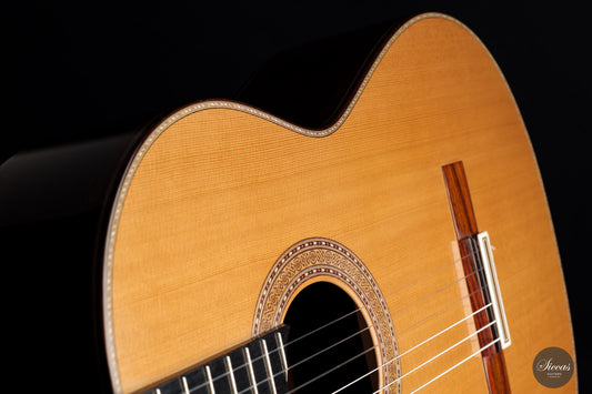 Paulino Bernabé - 2022 Concierto img-2