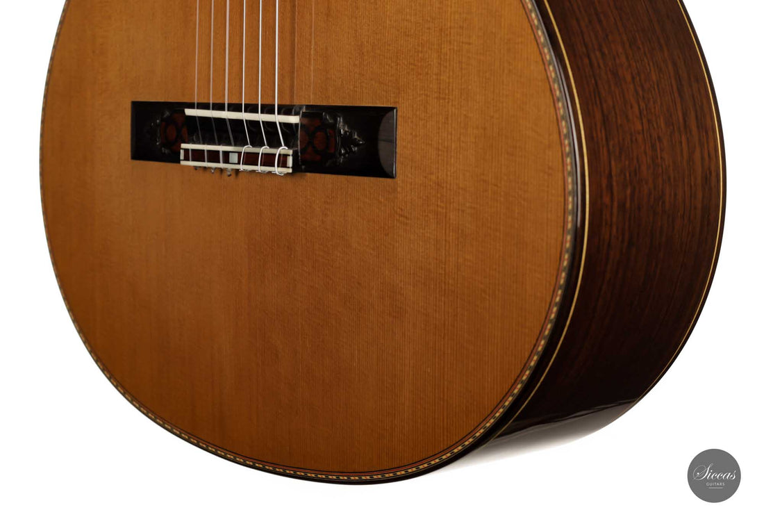 Petar Antic - 2010 No. 05 Left-hand