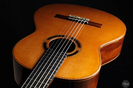 Petar Antic - 2012 No. 17.12