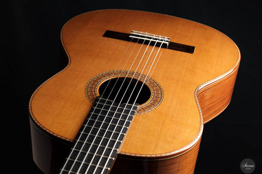 Petar Antic - 2013 No. Z2013