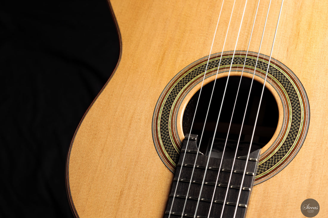 Pete Beer - 2025 - Double top No.112 - Front view