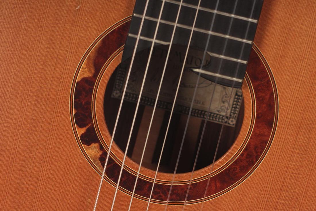 Petr Matoušek – 2010 Doubletop 7-string