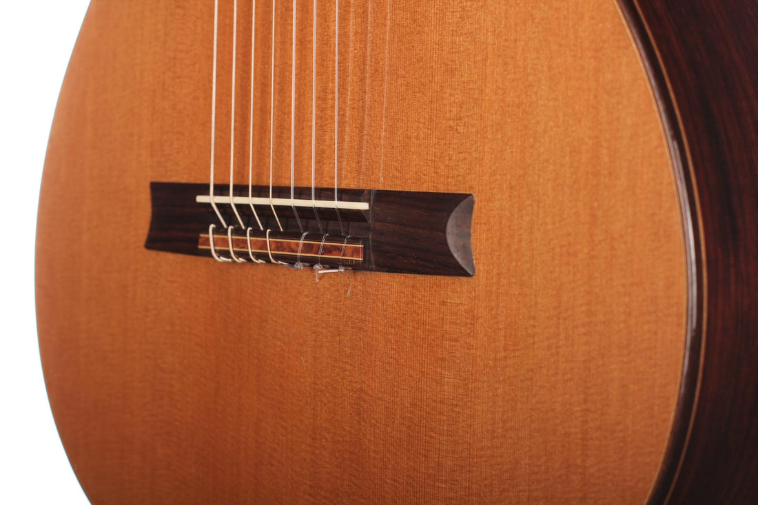 Petr Matoušek – 2010 Doubletop 7-string