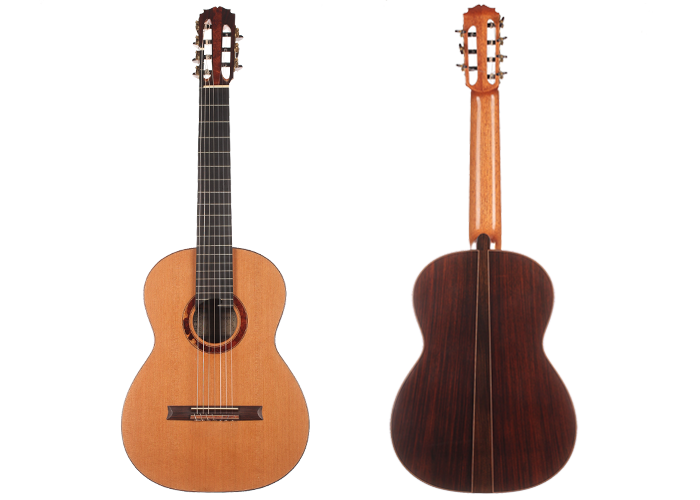 Petr Matoušek – 2010 Doubletop 7-string