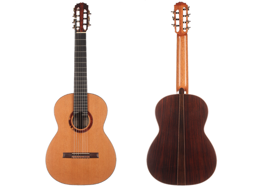 Petr Matoušek – 2010 Doubletop 7-string img-2