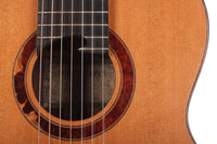 Petr Matoušek – 2010 Doubletop 7-string