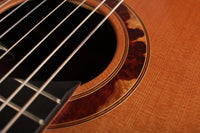 Petr Matoušek – 2010 Doubletop 7-string