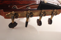 Petr Matoušek – 2010 Doubletop 7-string