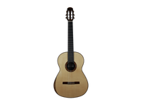 Philipp Neumann - Siccas Guitars Edition 2014