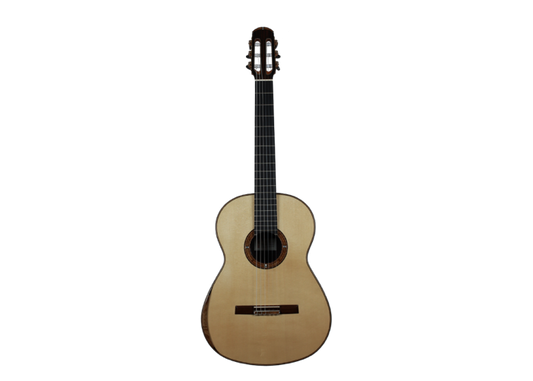 Philipp Neumann - Siccas Guitars Edition 2014