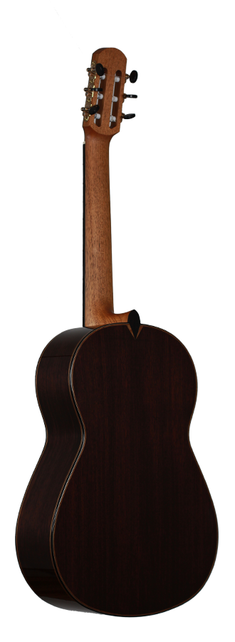 Philipp Neumann - Siccas Guitars Edition 2014