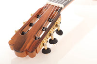 Rafael Moreno - 2016