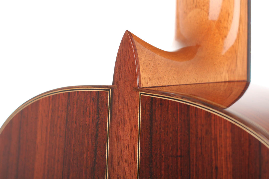 Rafael Moreno - 2016