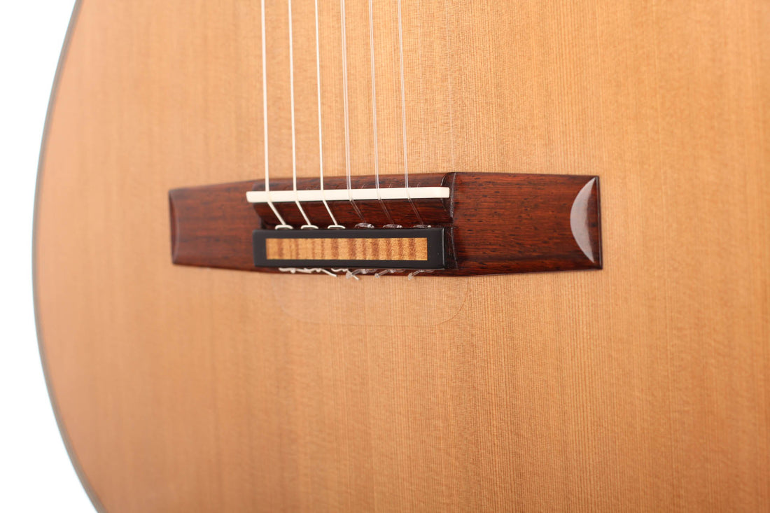 Rafael Moreno - 2016