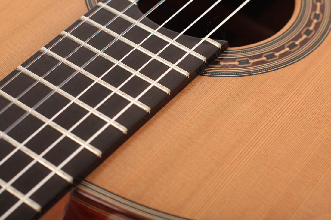 Rafael Moreno - 2016