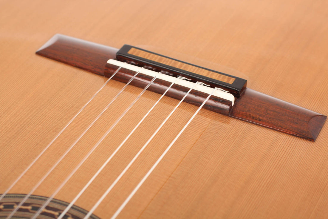 Rafael Moreno - 2016