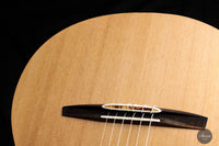 Rafal Turkowiak - 2023 Doubletop 64 cm No. 548 Eucalyptus