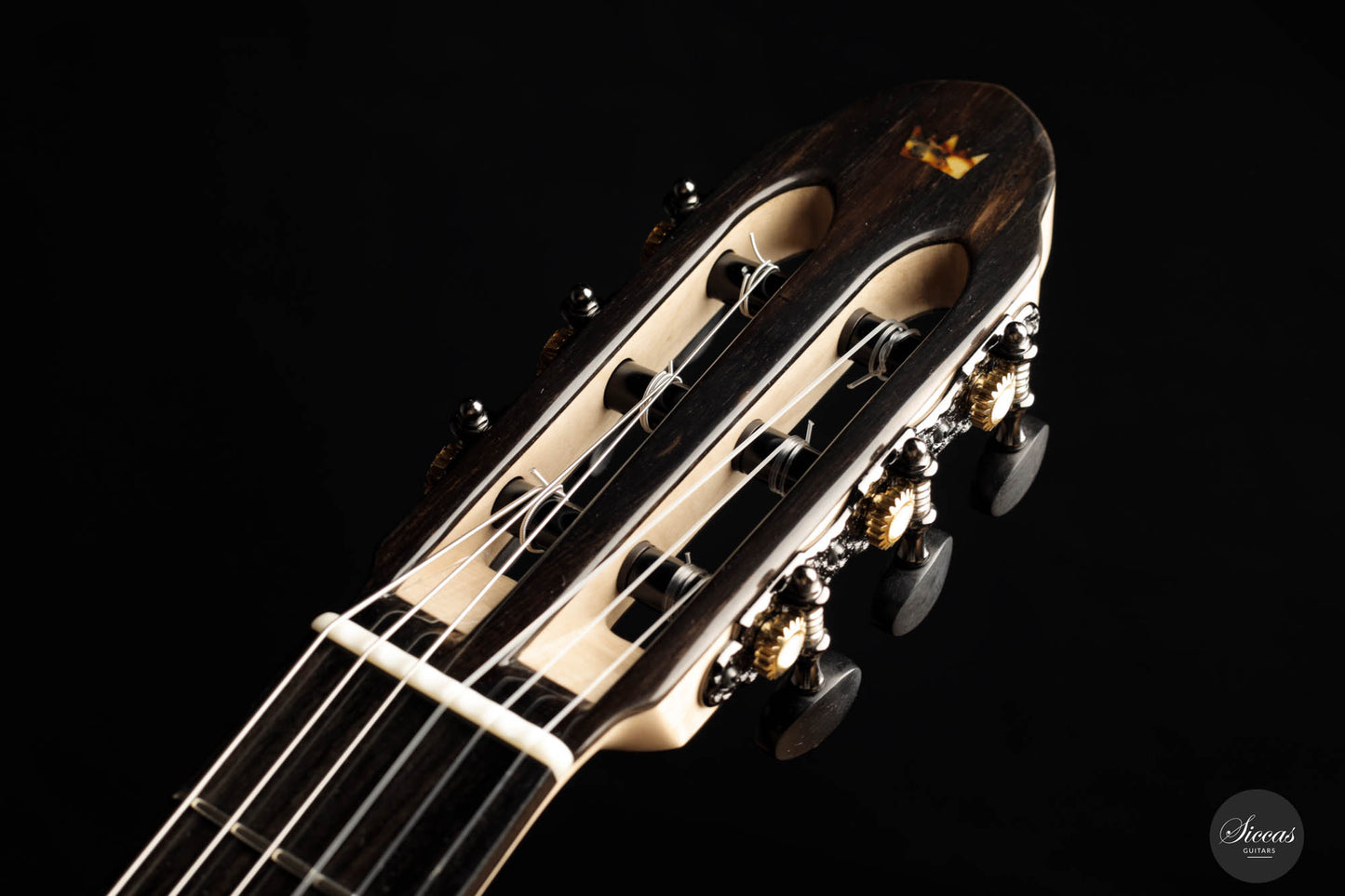 Rafal Turkowiak - 2023 Doubletop 64 cm No. 548 Eucalyptus
