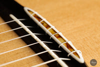 Rafal Turkowiak - 2023 Doubletop 65 cm No. 551