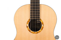 Rafal Turkowiak - 2023 Doubletop 64 cm No. 547