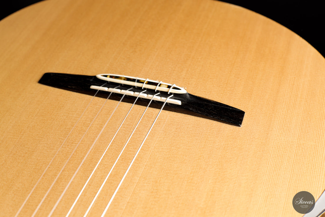 Rafal Turkowiak - Queen of guitars “Black Diamond” Doubletop