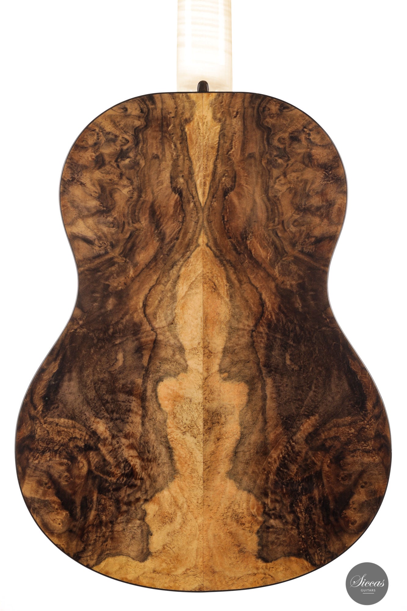 Rafal Turkowiak - Queen of guitars “Black Diamond” Doubletop