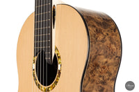 Rafal Turkowiak - Queen of guitars “Black Diamond” Doubletop