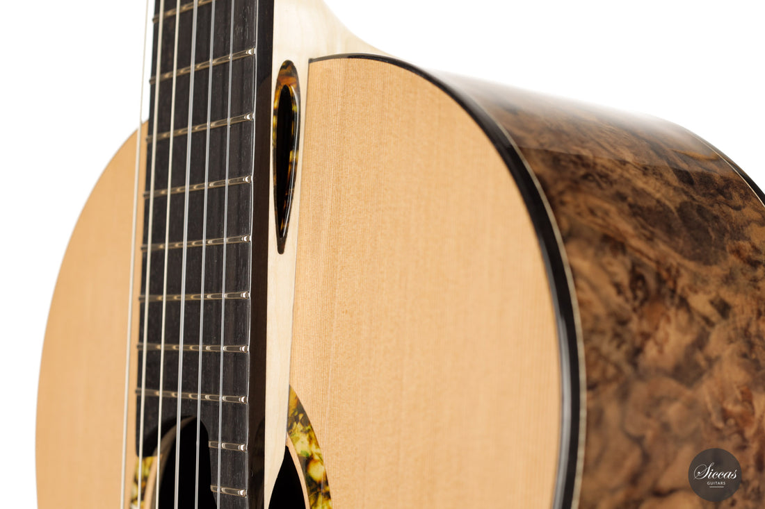Rafal Turkowiak - Queen of guitars “Black Diamond” Doubletop