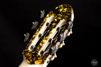 Rafal Turkowiak - Queen of guitars “Black Diamond” Doubletop