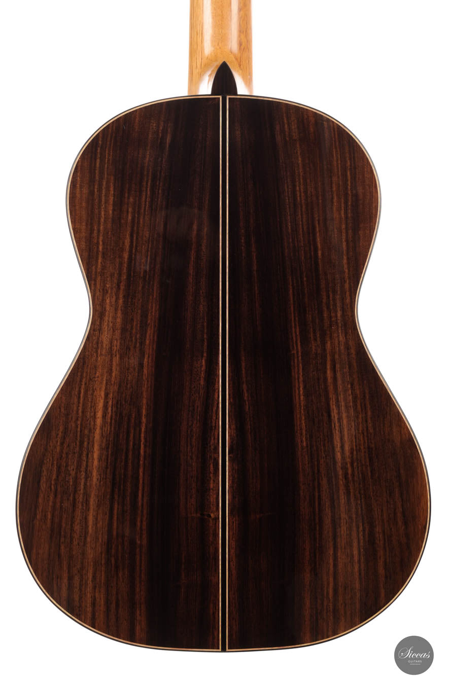 Raffaele Dantone - 2024 - Back and sides