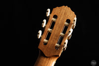 Raffaele Dantone - 2024 - Neck and tuner thumbnail