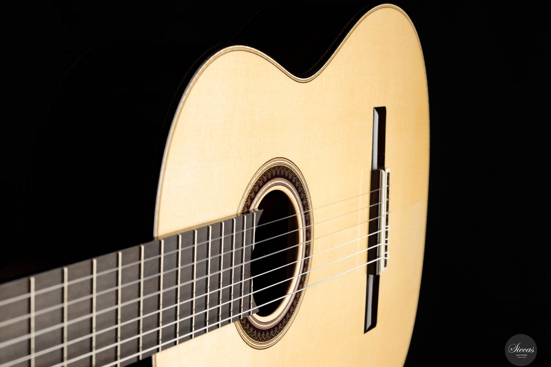 Raffaele Dantone - 2024