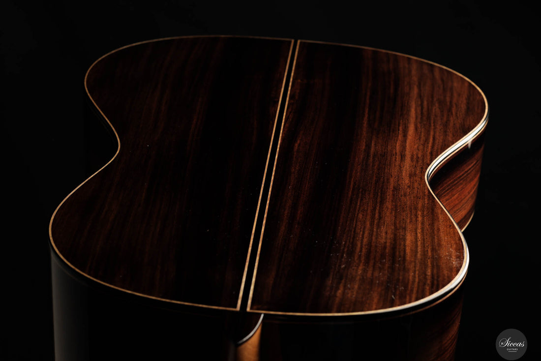 Raffaele Dantone - 2024 - Back and sides