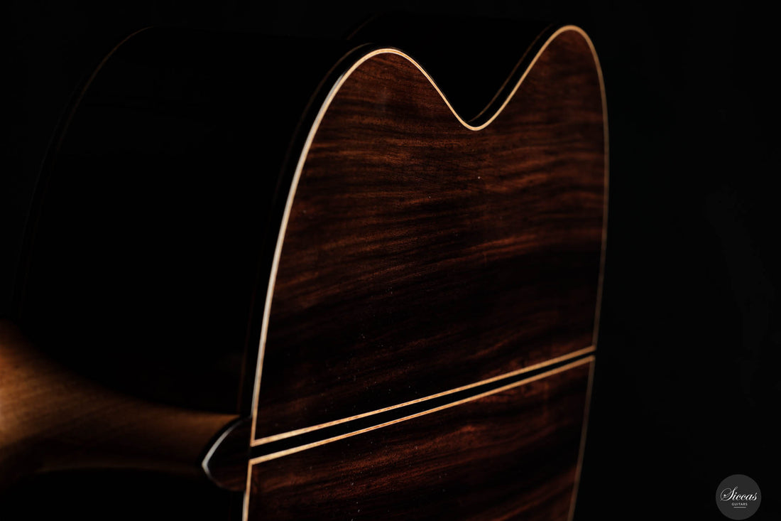 Raffaele Dantone - 2024 - Back and sides