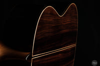 Raffaele Dantone - 2024 - Back and sides thumbnail