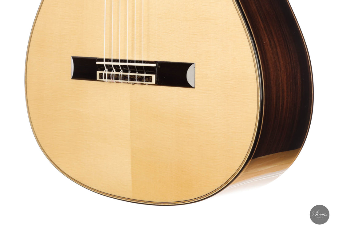 Raffaele Dantone - 2024