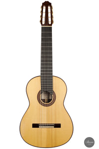 Roberto Pozzi - 2015 8-string