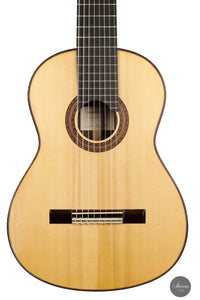 Roberto Pozzi - 2015 8-string