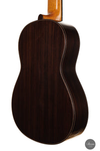 Roberto Pozzi - 2015 8-string