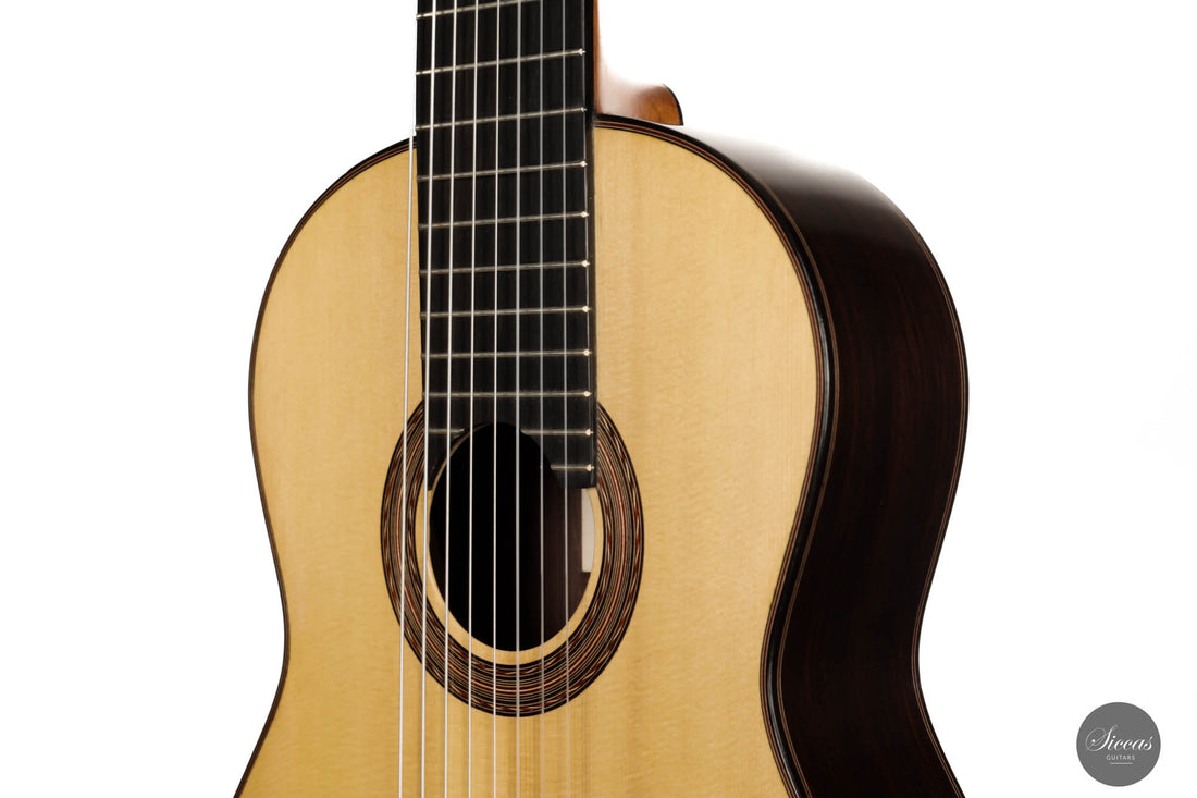 Roberto Pozzi - 2015 8-string